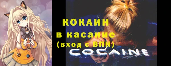 мяу мяу мука Аркадак