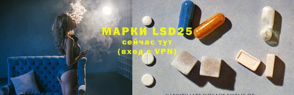 мяу мяу мука Аркадак