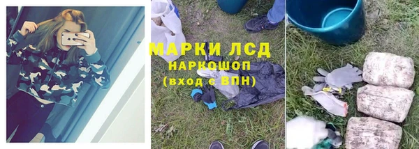 мяу мяу мука Аркадак