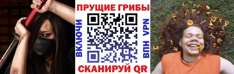 цена   Сарапул  Галлюциногенные грибы MAGIC MUSHROOMS 